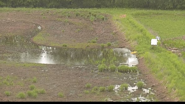 capture-14-22-05-26_16-13-58-71