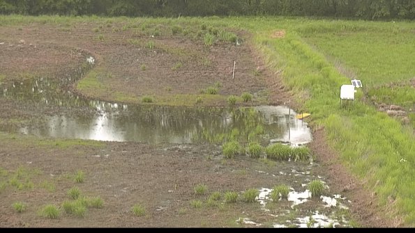 capture-14-22-05-26_16-16-23-22