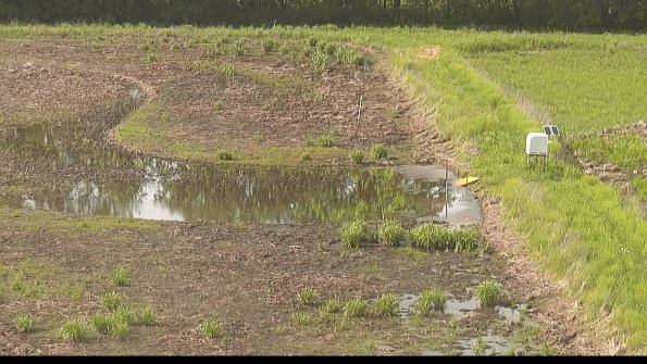 capture-14-22-05-26_17-18-46-42