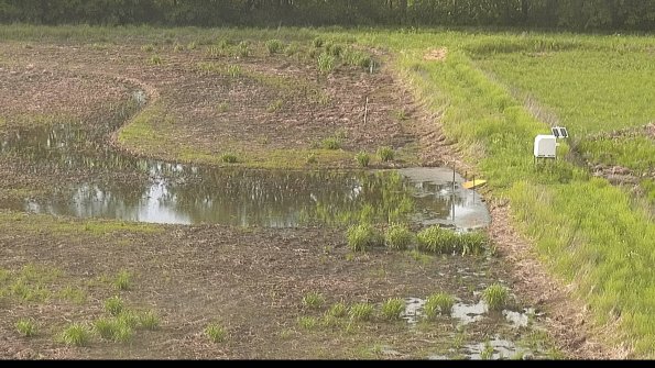 capture-14-22-05-26_18-21-10-41