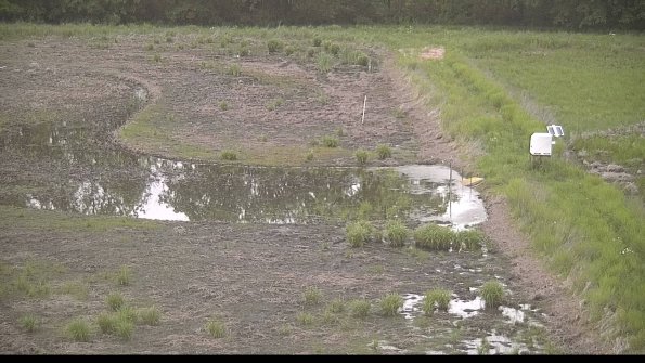 capture-14-22-05-26_20-25-57-33