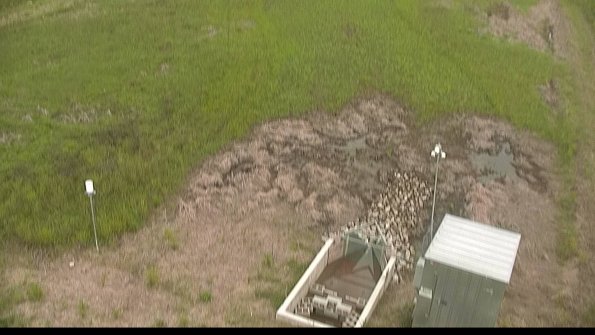 capture-3-22-05-26_12-05-40-31