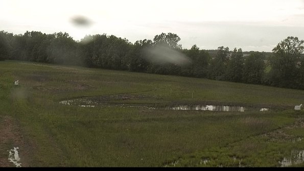 capture-4-22-05-26_16-15-39-48