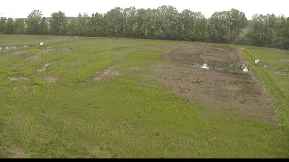 capture-6-22-05-26_12-06-37-53