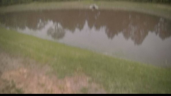 capture-8-22-05-26_20-24-31-35