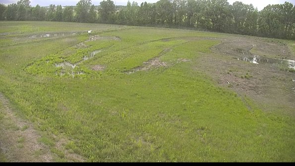 capture-1-22-05-27_19-19-16-24