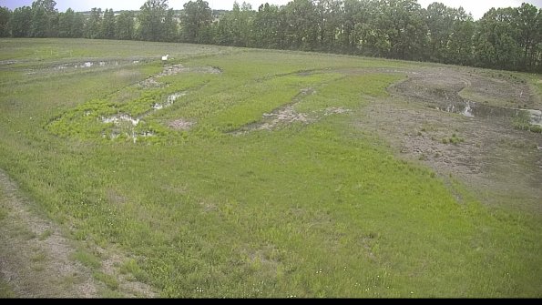 capture-1-22-05-27_20-21-40-14