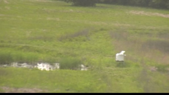 capture-12-22-05-27_17-12-50-35