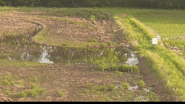 capture-14-22-05-27_07-52-16-36