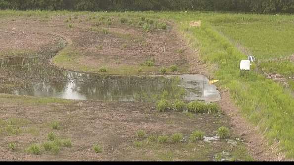 capture-14-22-05-27_16-11-23-35