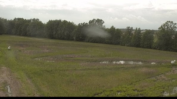 capture-4-22-05-27_16-10-41-31