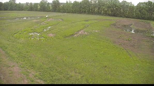 capture-1-22-05-28_07-48-00-19