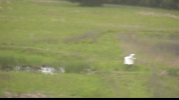 capture-12-22-05-28_07-46-20-32