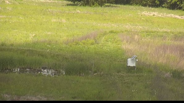 capture-12-22-05-28_09-51-08-31