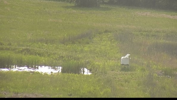 capture-12-22-05-28_18-10-17-80