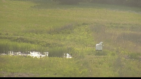 capture-12-22-05-28_19-12-41-39