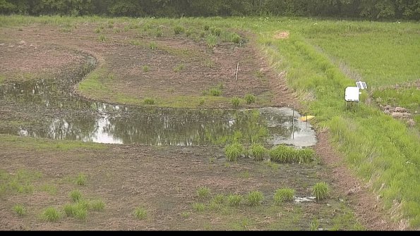 capture-14-22-05-28_07-47-17-31