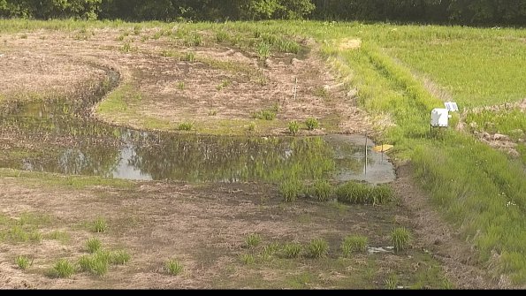 capture-14-22-05-28_09-52-05-30