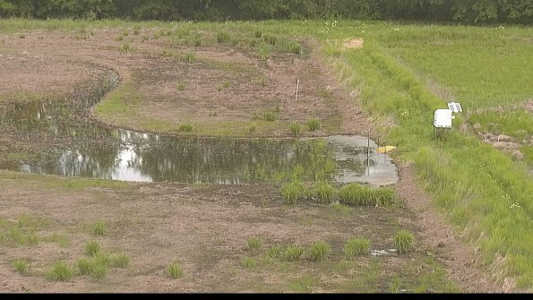 capture-14-22-05-28_11-56-53-26