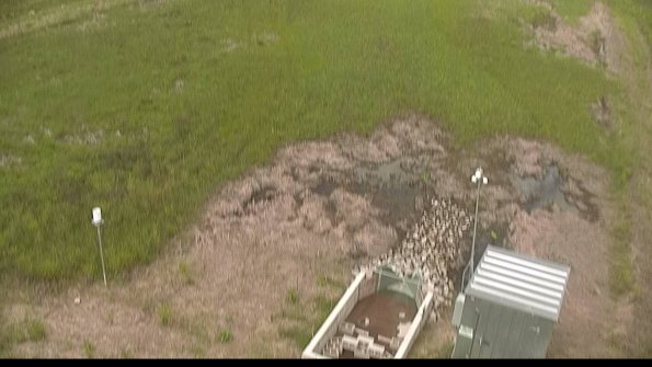 capture-3-22-05-28_11-55-40-32