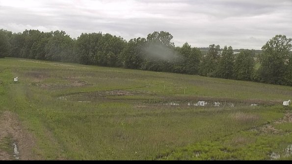 capture-4-22-05-28_07-46-35-17