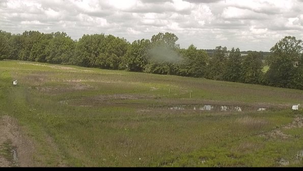 capture-4-22-05-28_11-56-09-38