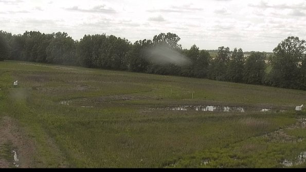 capture-4-22-05-28_16-05-44-16