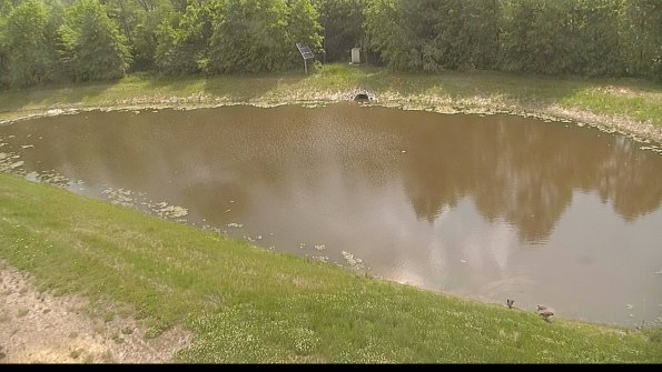 capture-8-22-05-28_11-55-26-21