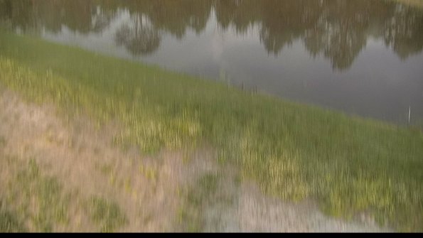 capture-8-22-05-28_20-14-35-29