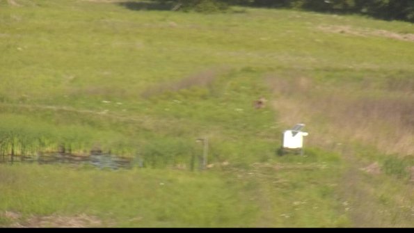 capture-12-22-05-29_08-43-47-40