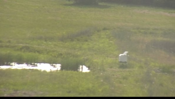 capture-12-22-05-29_18-05-18-44