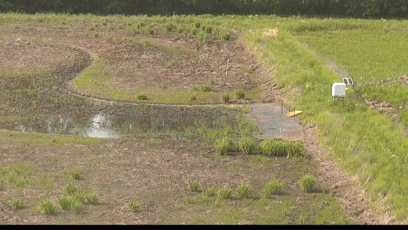 capture-14-22-05-29_17-03-51-34