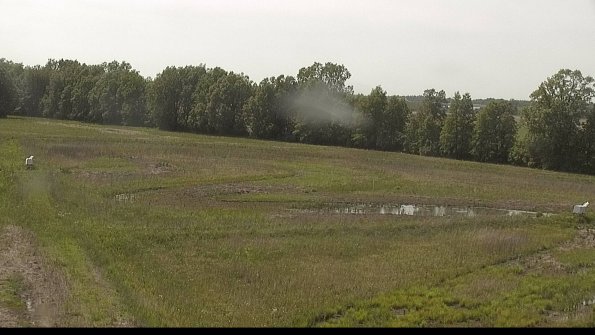 capture-4-22-05-29_16-00-46-24