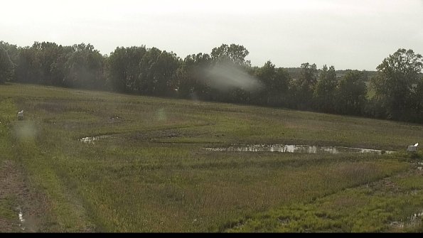 capture-4-22-05-29_18-05-33-15