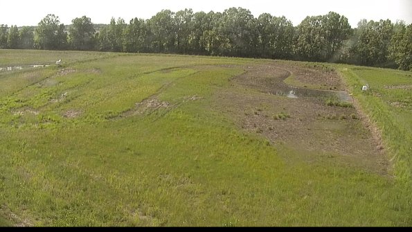 capture-6-22-05-29_17-03-37-52