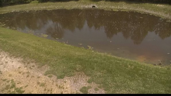 capture-8-22-05-29_13-55-15-41