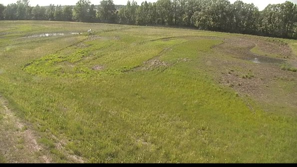 capture-1-22-05-30_16-59-35-31