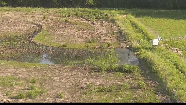 capture-14-22-05-30_08-27-46-05