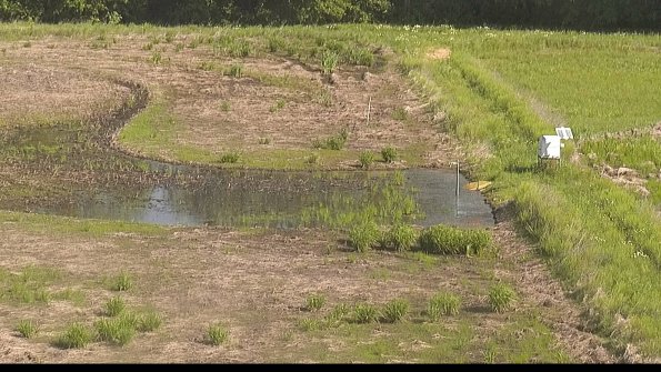 capture-14-22-05-30_09-42-08-37