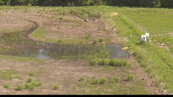 capture-14-22-05-30_10-44-31-43