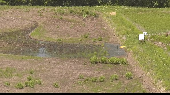 capture-14-22-05-30_13-51-43-34