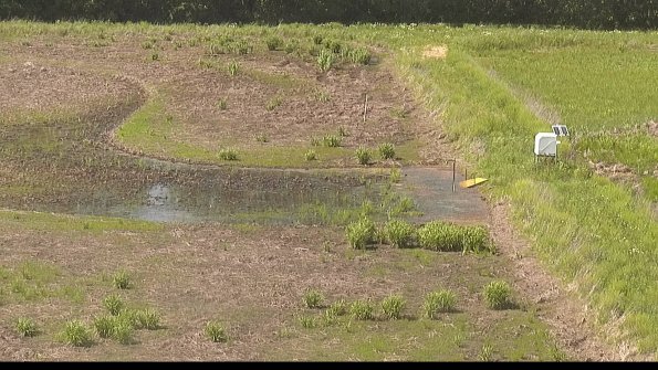 capture-14-22-05-30_15-56-30-38