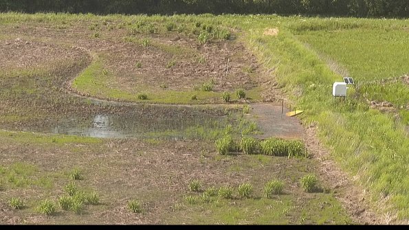 capture-14-22-05-30_16-58-53-50