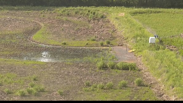 capture-14-22-05-30_18-01-16-29