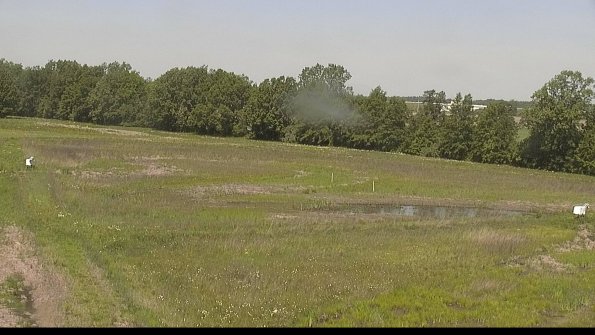 capture-4-22-05-30_11-46-12-41