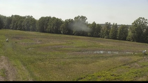 capture-4-22-05-30_15-55-48-41