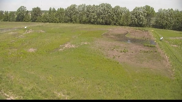 capture-6-22-05-30_11-46-41-41