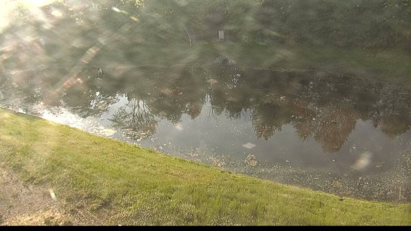 capture-8-22-05-30_07-35-55-96