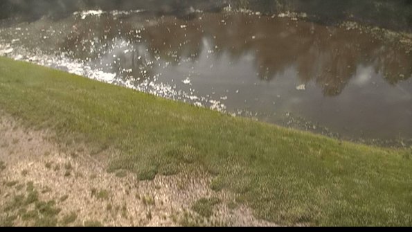 capture-8-22-05-30_09-40-42-42