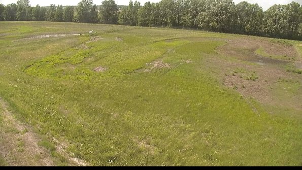 capture-1-22-05-31_15-52-12-51